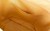 9bd2a74cad9bca34999a31e8cfa9d290