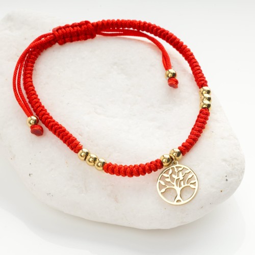 ac53223cebd5f11ec1542668301cb077